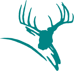 Deerfield Logo